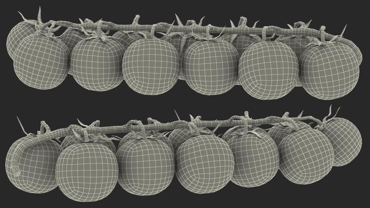 Cherry Tomatoes on the Vine 3D