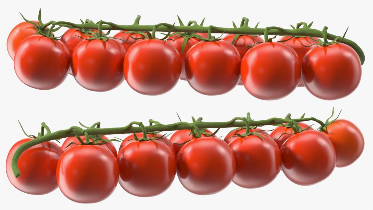 Cherry Tomatoes on the Vine 3D