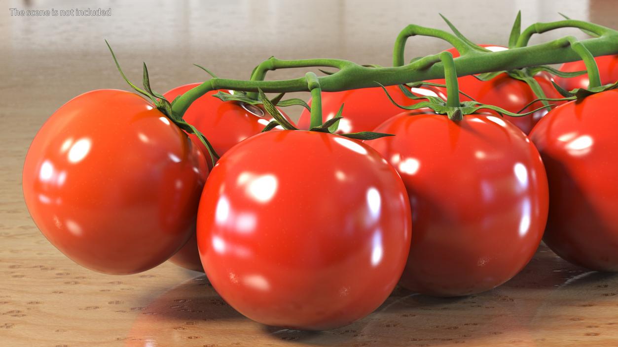 Cherry Tomatoes on the Vine 3D