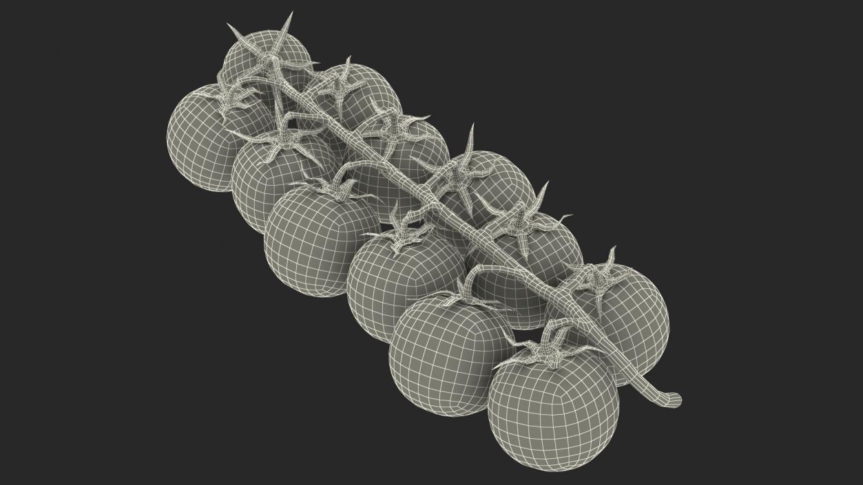 Cherry Tomatoes on the Vine 3D