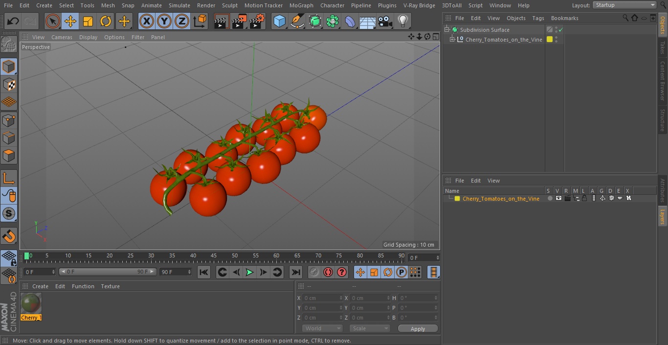 Cherry Tomatoes on the Vine 3D