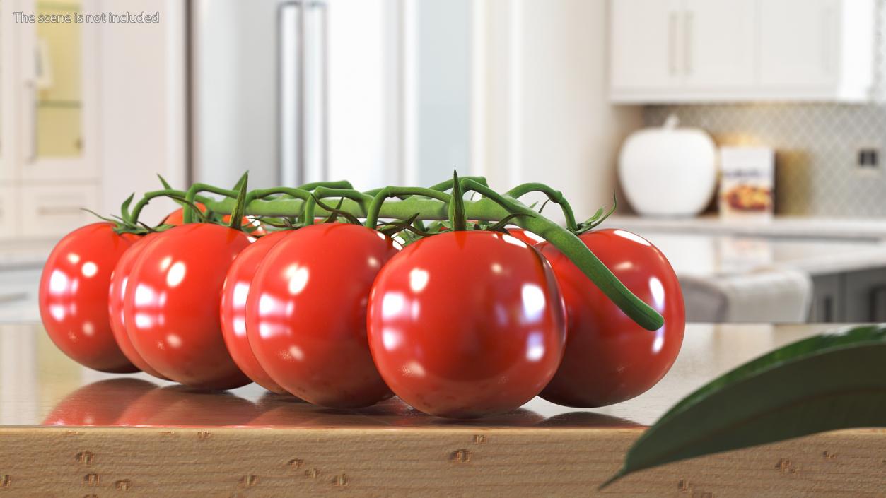 Cherry Tomatoes on the Vine 3D