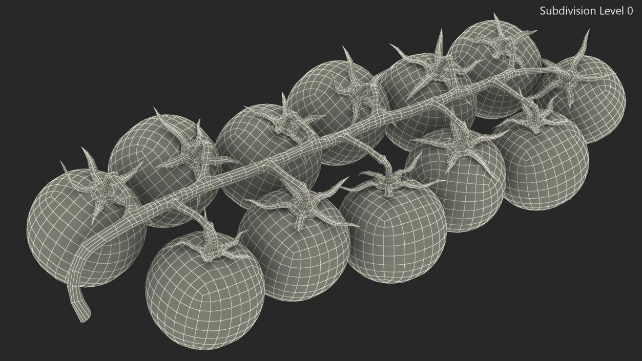 Cherry Tomatoes on the Vine 3D