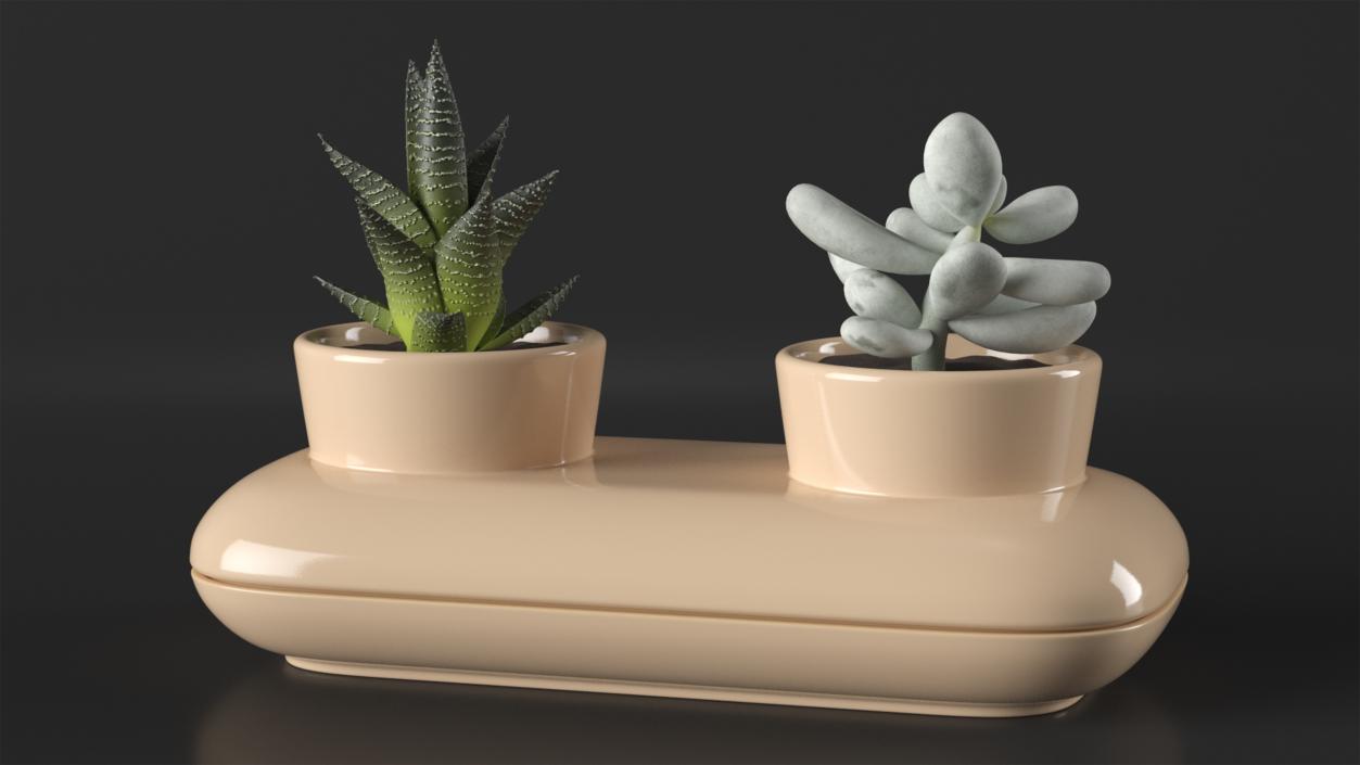 3D model Sagaform Double Herb Pot Beige