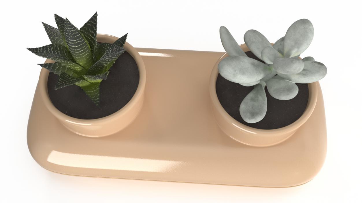 3D model Sagaform Double Herb Pot Beige