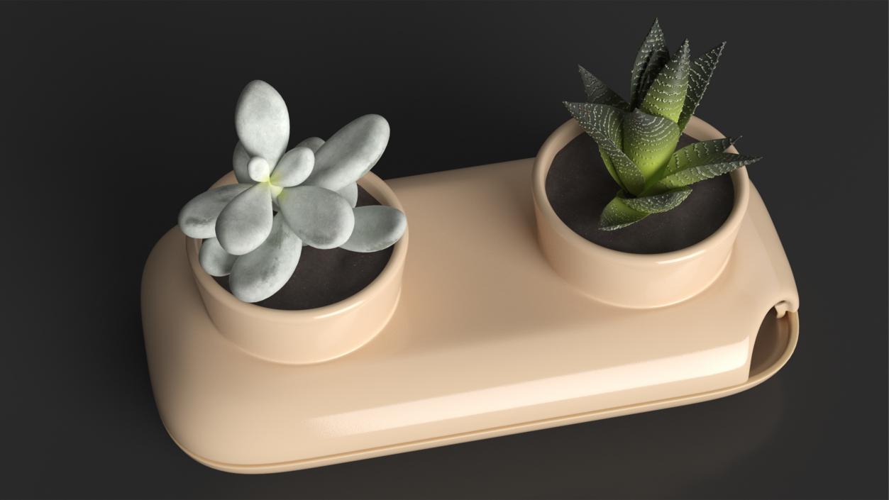 3D model Sagaform Double Herb Pot Beige