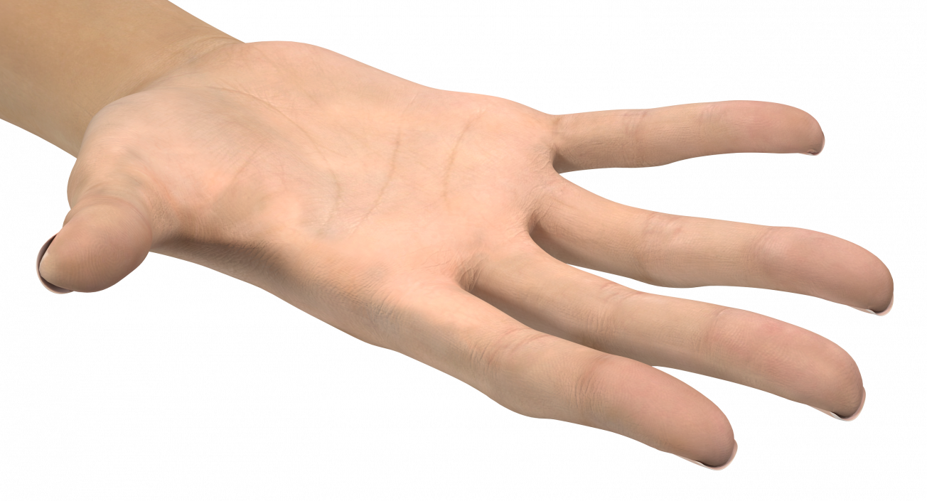 3D model Caucasian Female Hand Short Nails Rigged