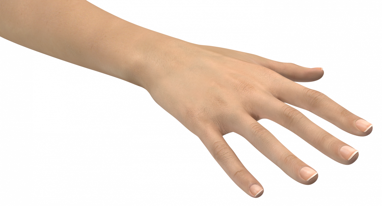 3D model Caucasian Female Hand Short Nails Rigged