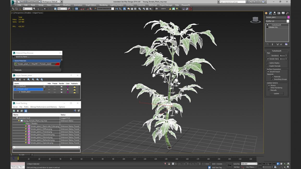 3D Young Tomato Plant model