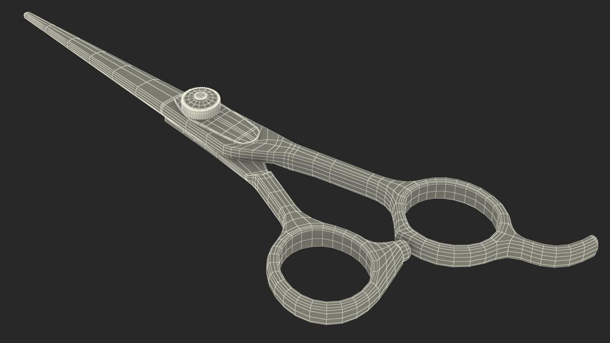 Professional Barber Straight Edge Scissors 3D