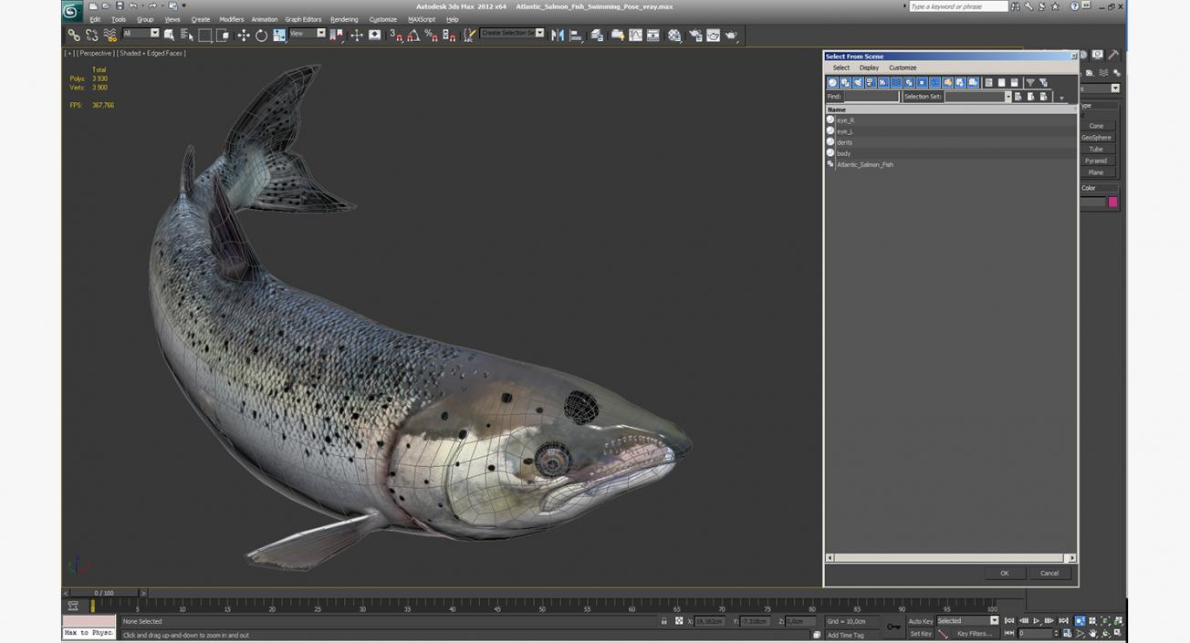 Atlantic Salmon Fish Swimming Pose 3D model