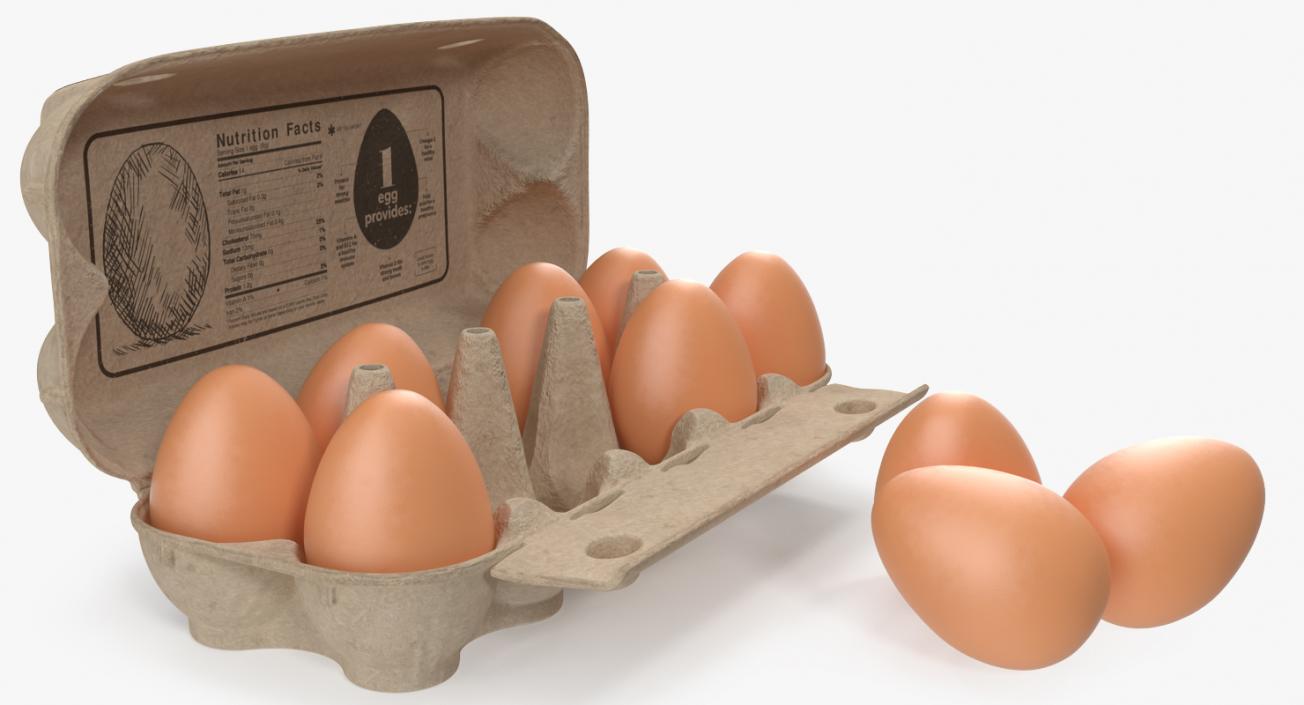 Eggs in Open Carton Package 3D