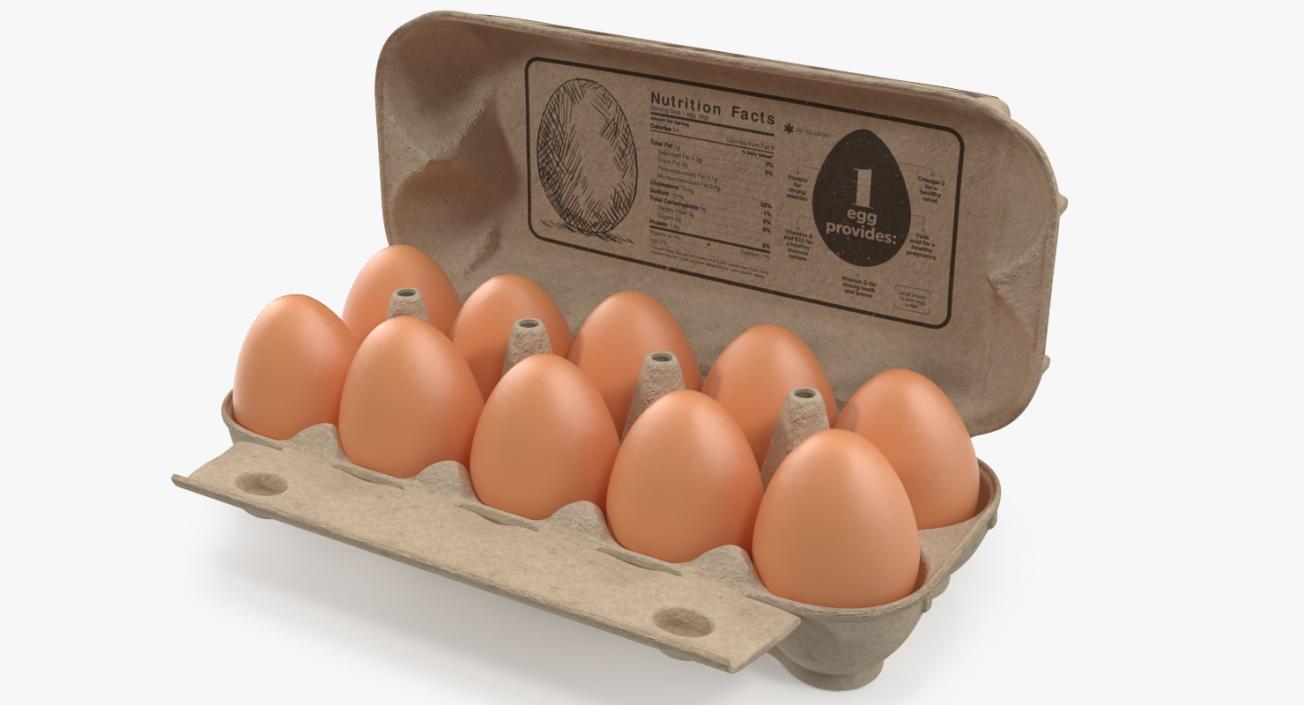 Eggs in Open Carton Package 3D