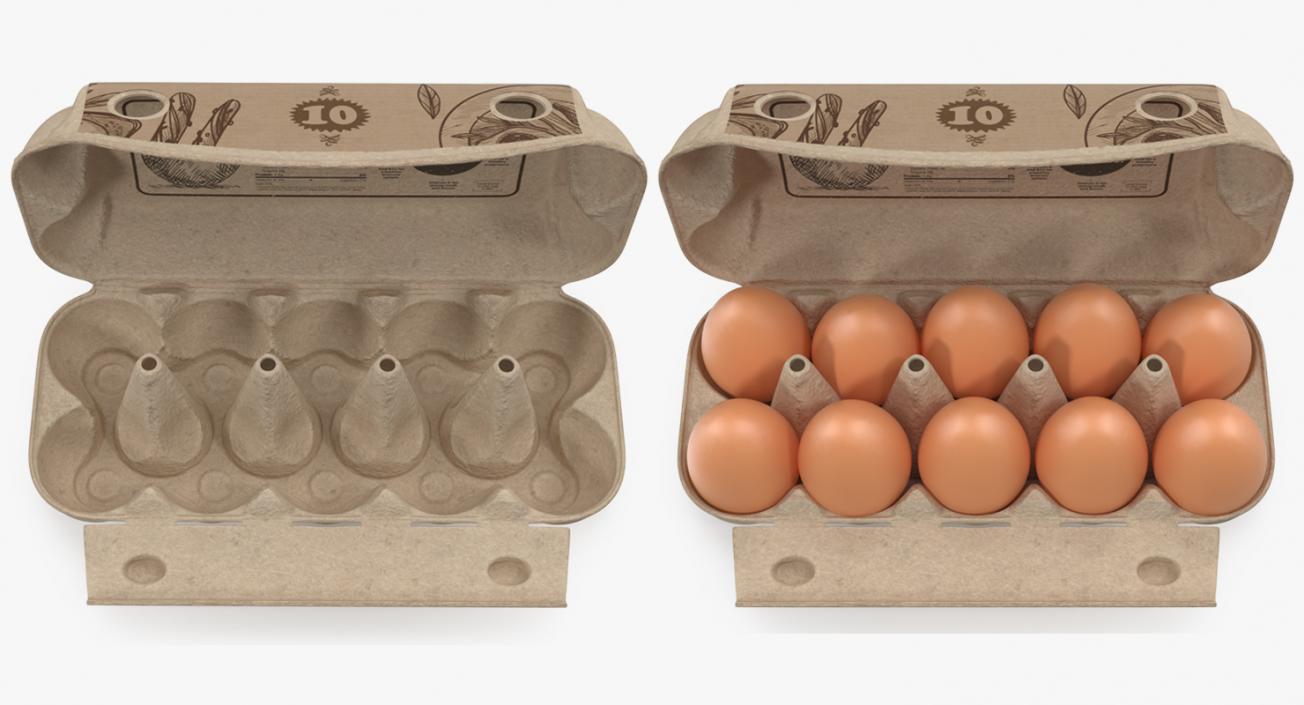 Eggs in Open Carton Package 3D