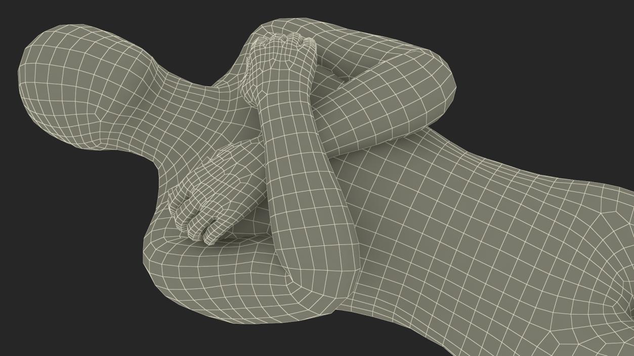 3D model Mummy with Arms Crossed 2