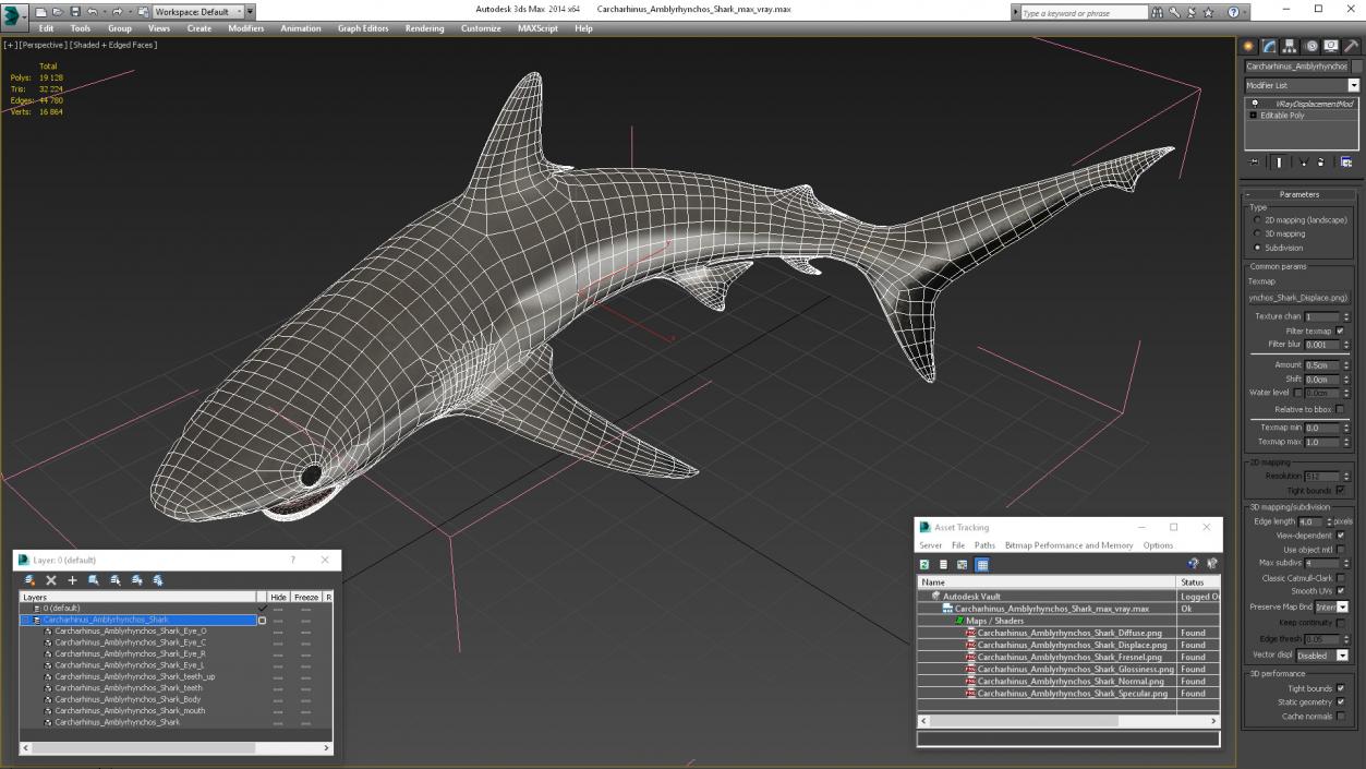 Carcharhinus Amblyrhynchos Shark 3D