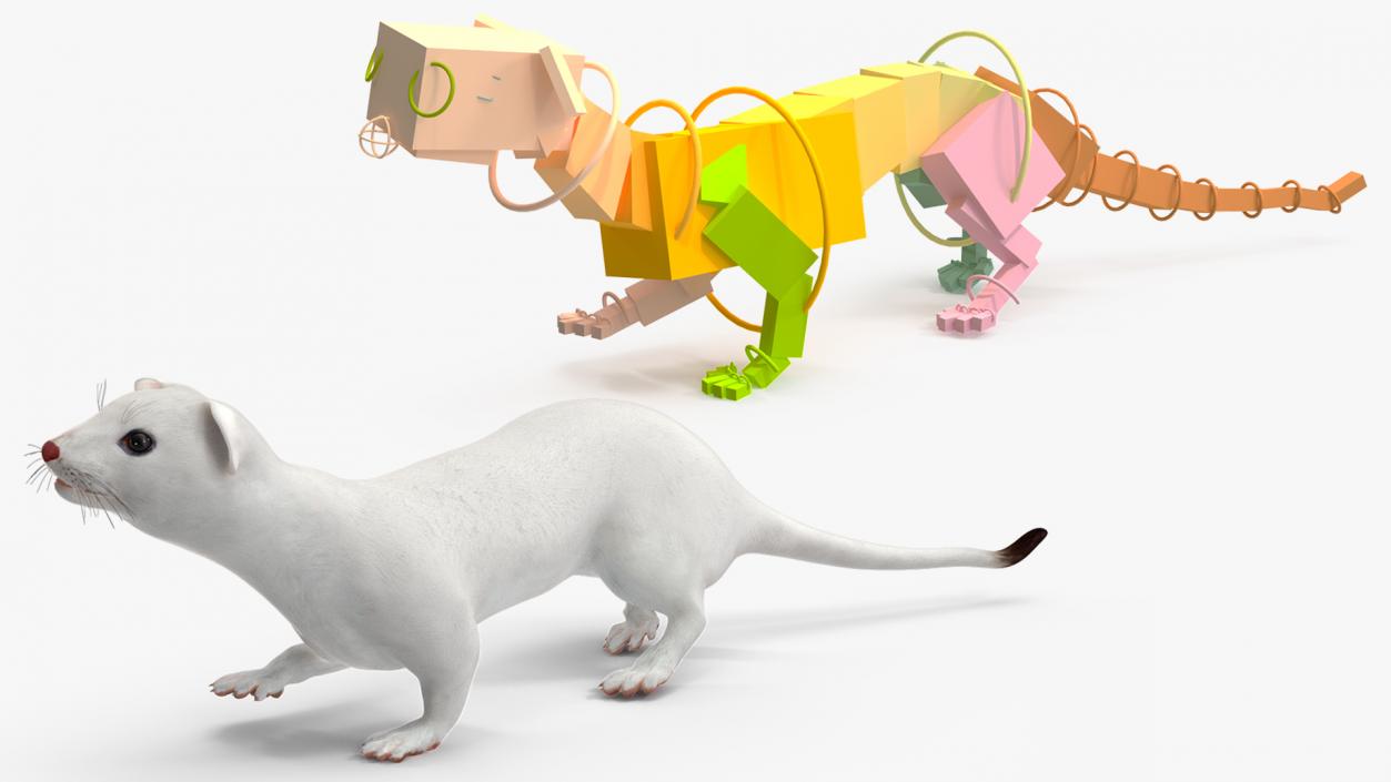 Ermine Mammal White Rigged for Cinema 4D 2 3D