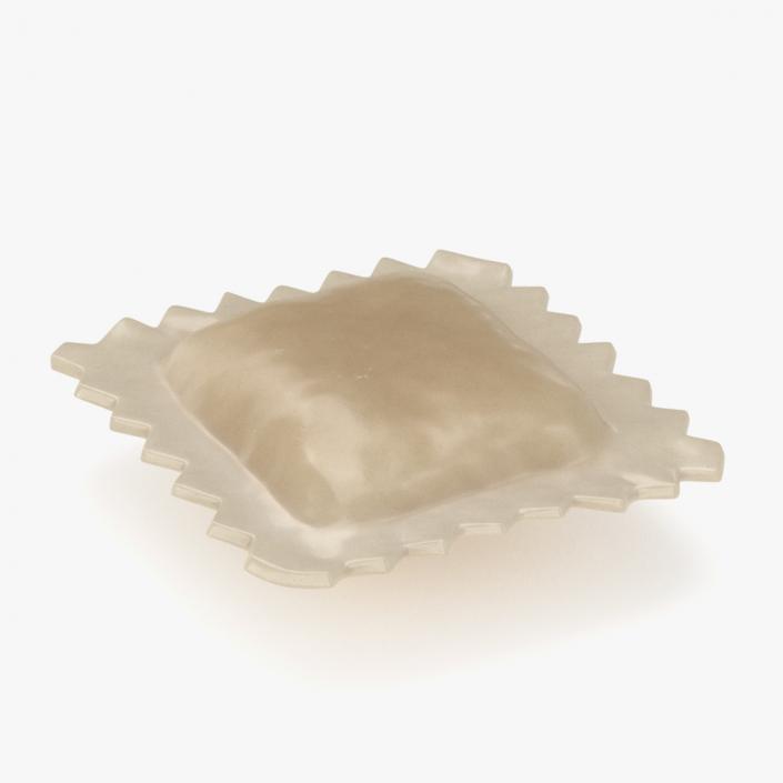 3D Ravioli Dumpling Cooked model