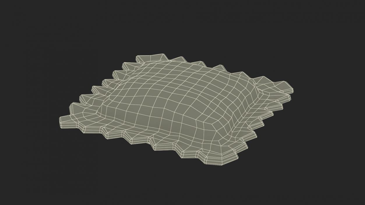 3D Ravioli Dumpling Cooked model