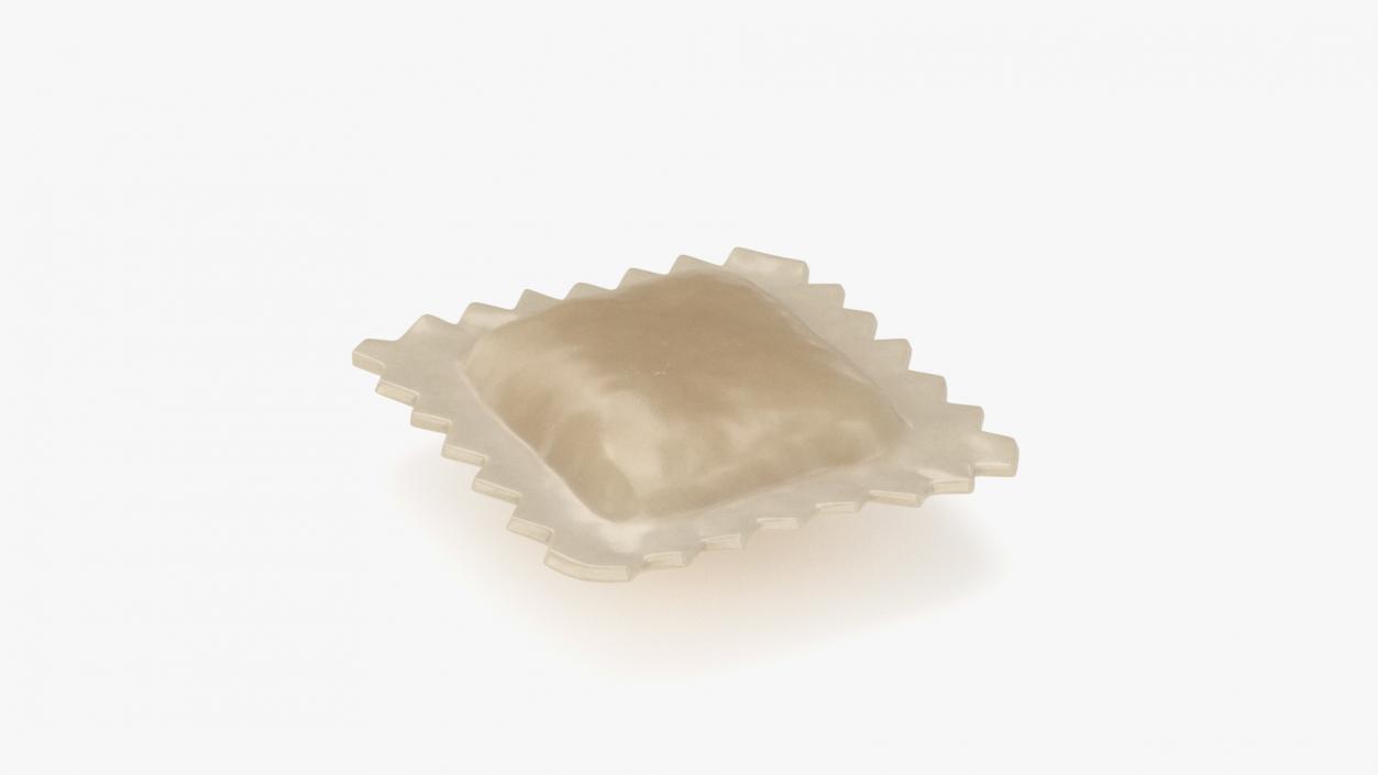 3D Ravioli Dumpling Cooked model