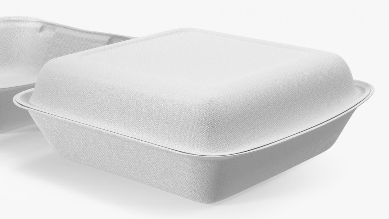 3D model Compostable Food Container Set