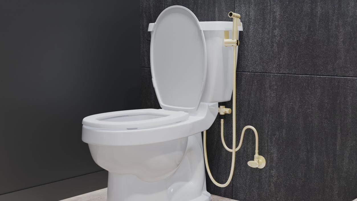 3D model Wall-Mounted Gold Handheld Bidet Sprayer