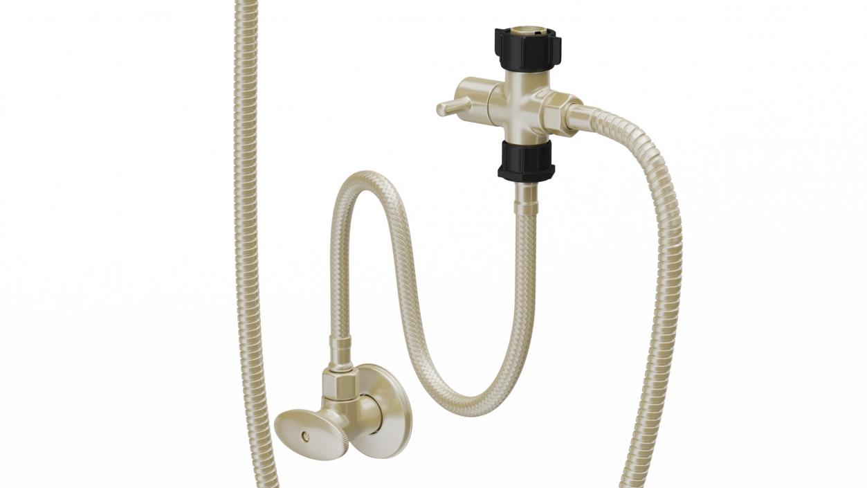 3D model Wall-Mounted Gold Handheld Bidet Sprayer