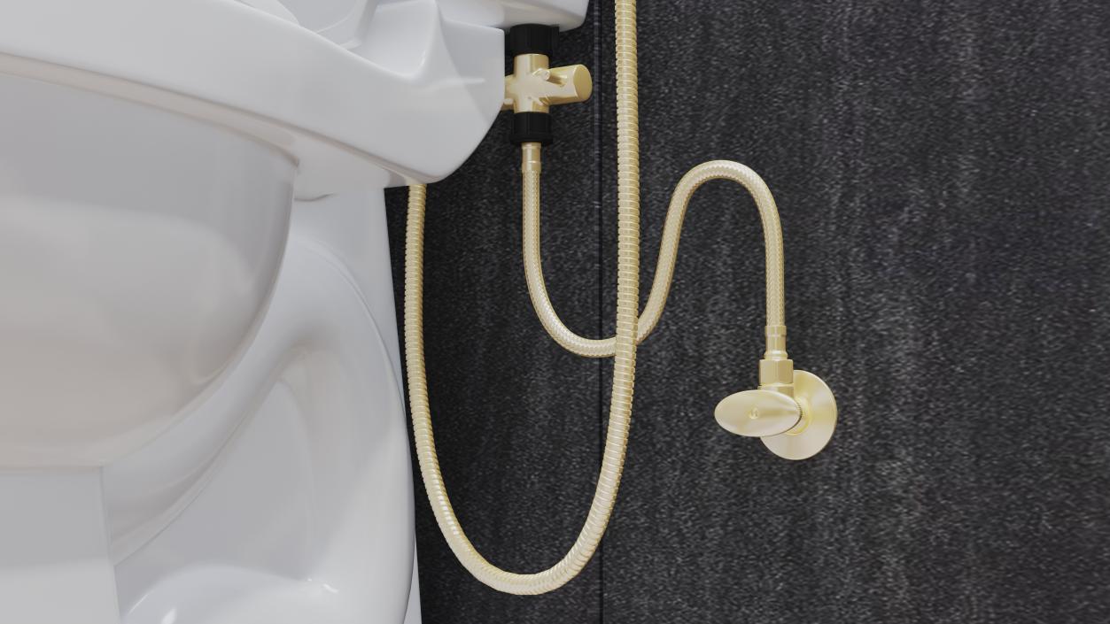 3D model Wall-Mounted Gold Handheld Bidet Sprayer