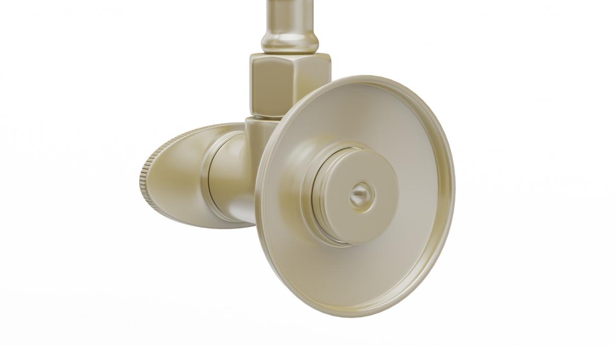 3D model Wall-Mounted Gold Handheld Bidet Sprayer