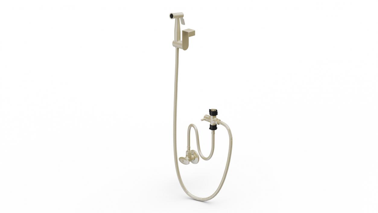 3D model Wall-Mounted Gold Handheld Bidet Sprayer