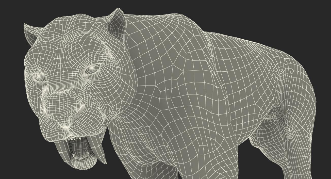 3D Saber Tooth Tiger Rigged with Fur model