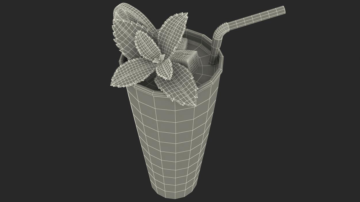 Glass of Mojito Cocktail 3D model