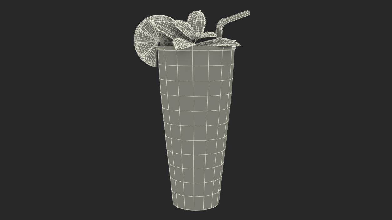 Glass of Mojito Cocktail 3D model