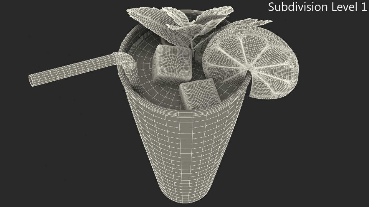 Glass of Mojito Cocktail 3D model