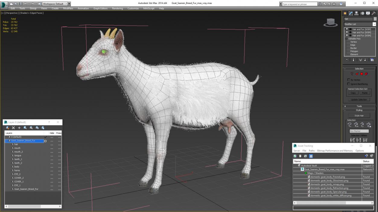 3D Goat Saanen Breed Fur