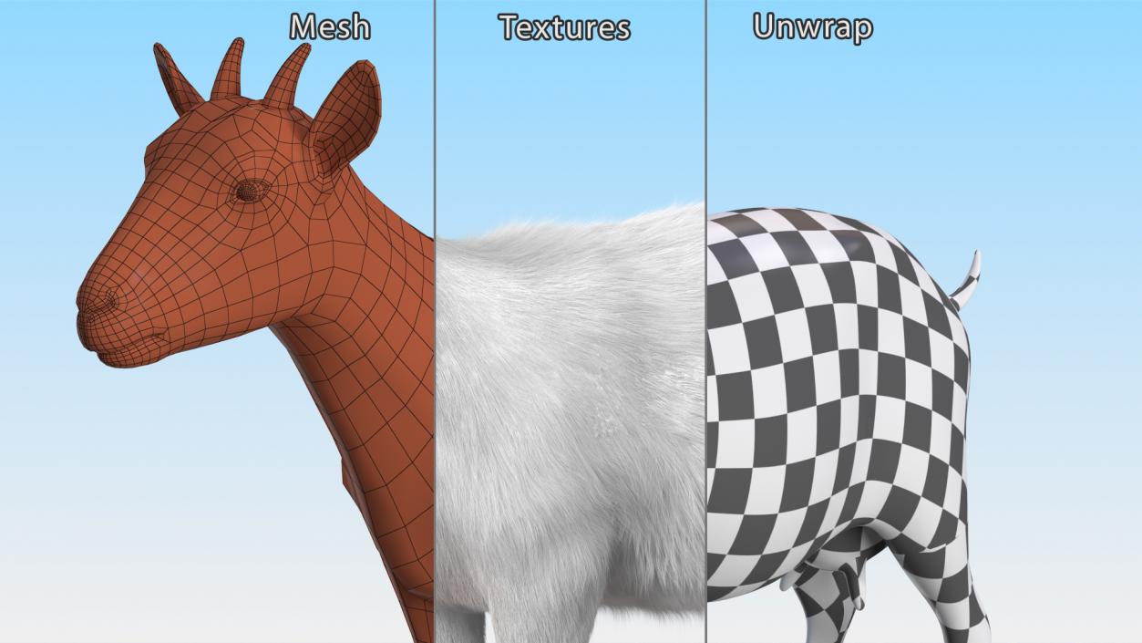 3D Goat Saanen Breed Fur