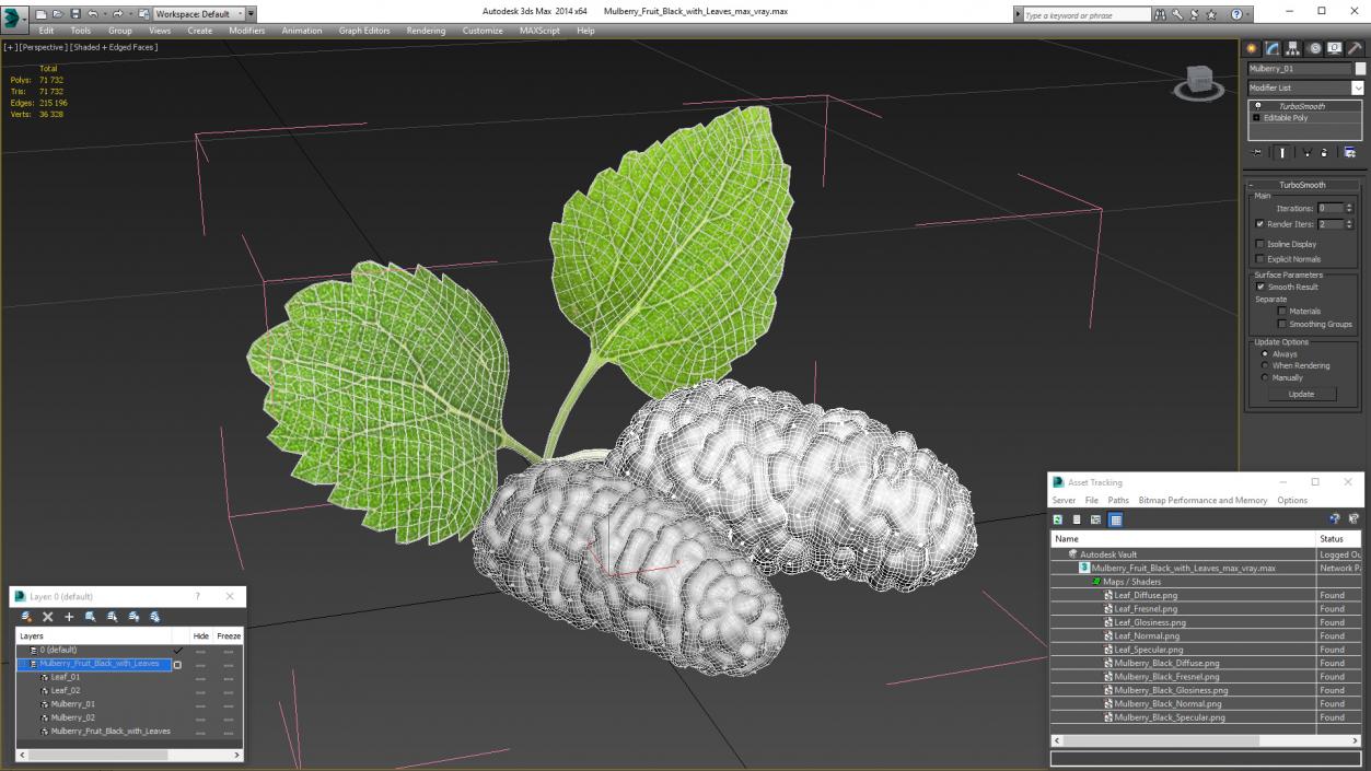 Mulberry Fruit Black with Leaves 3D