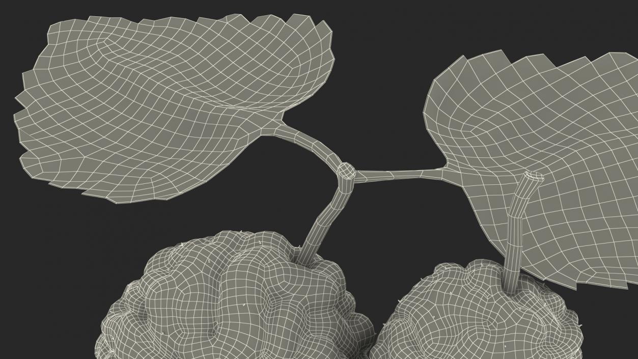 Mulberry Fruit Black with Leaves 3D