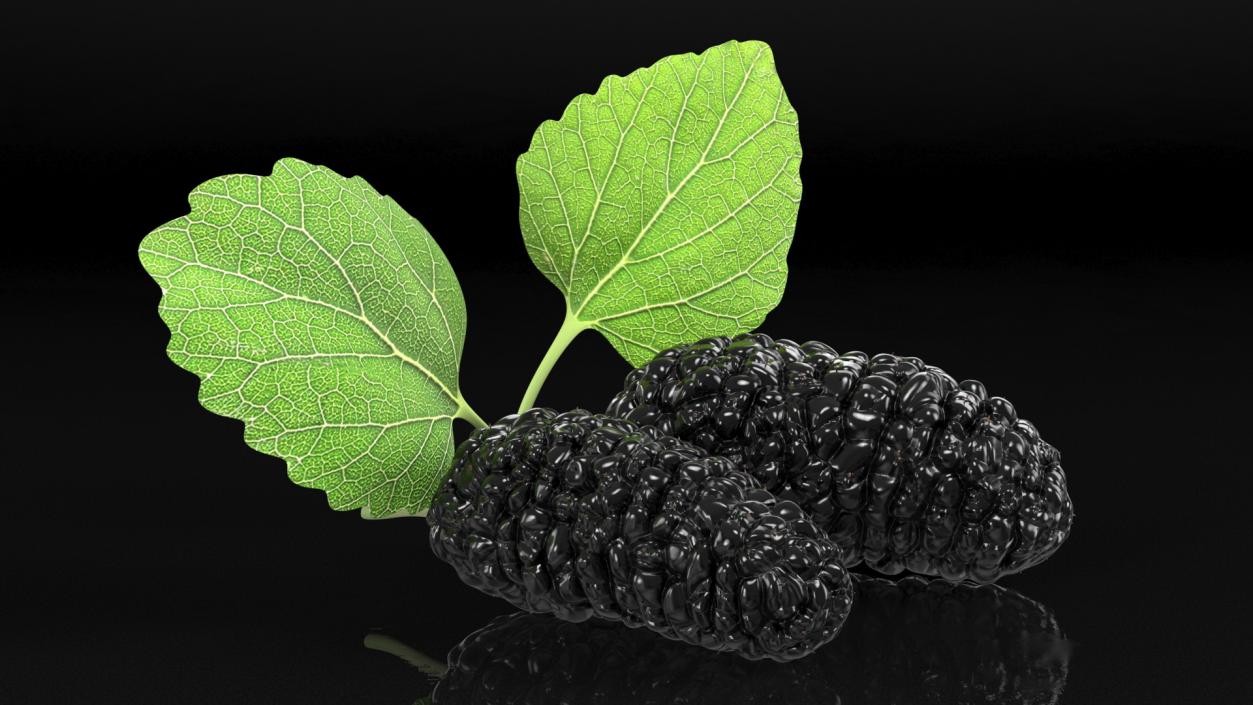 Mulberry Fruit Black with Leaves 3D