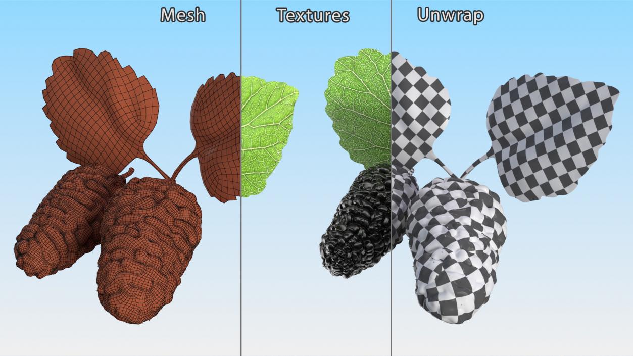 Mulberry Fruit Black with Leaves 3D