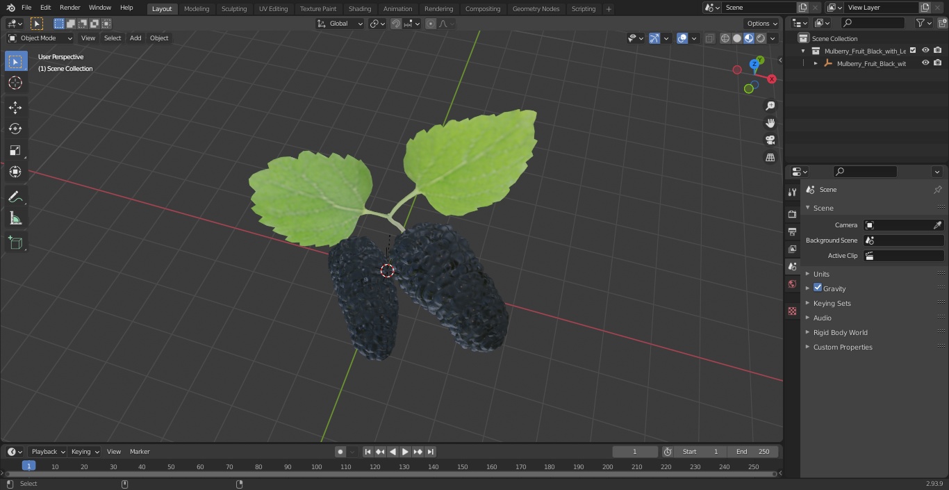 Mulberry Fruit Black with Leaves 3D