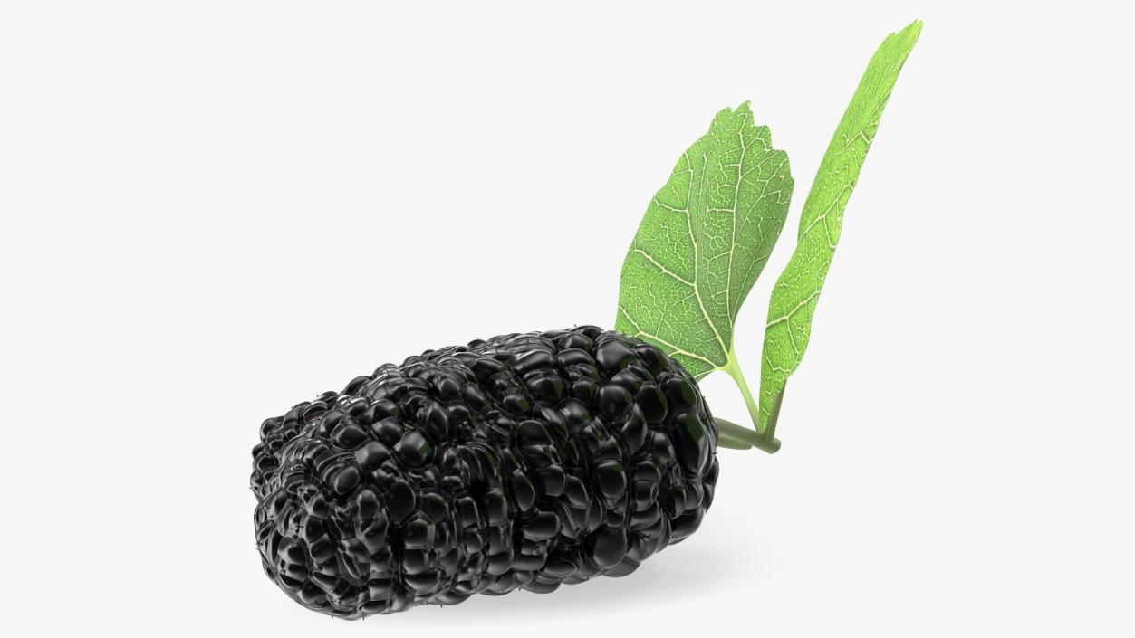 Mulberry Fruit Black with Leaves 3D