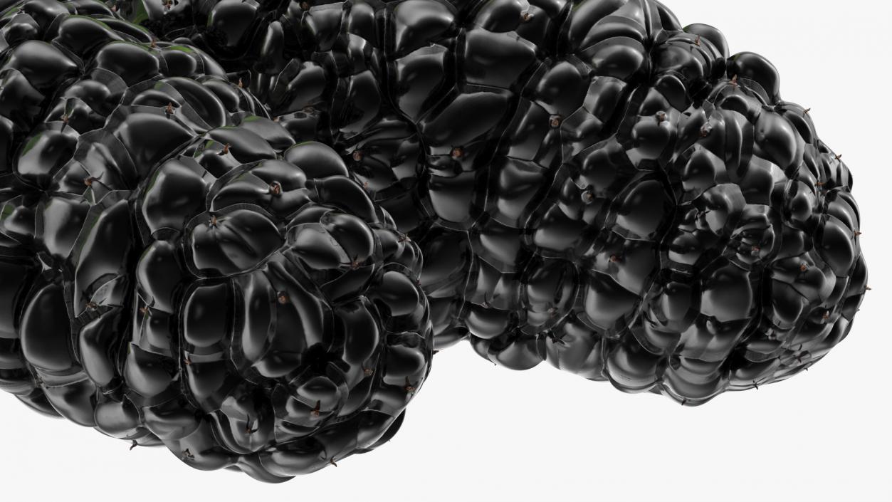 Mulberry Fruit Black with Leaves 3D