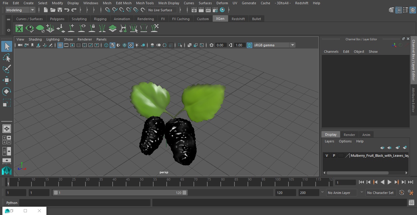 Mulberry Fruit Black with Leaves 3D