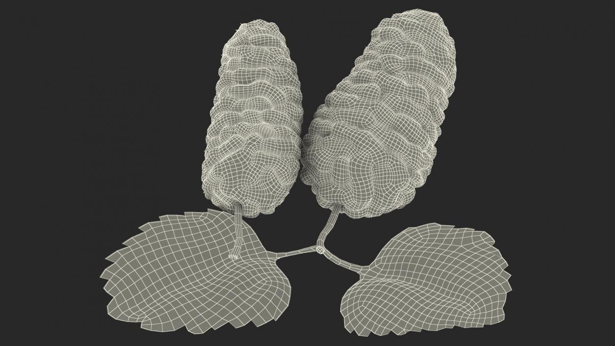 Mulberry Fruit Black with Leaves 3D