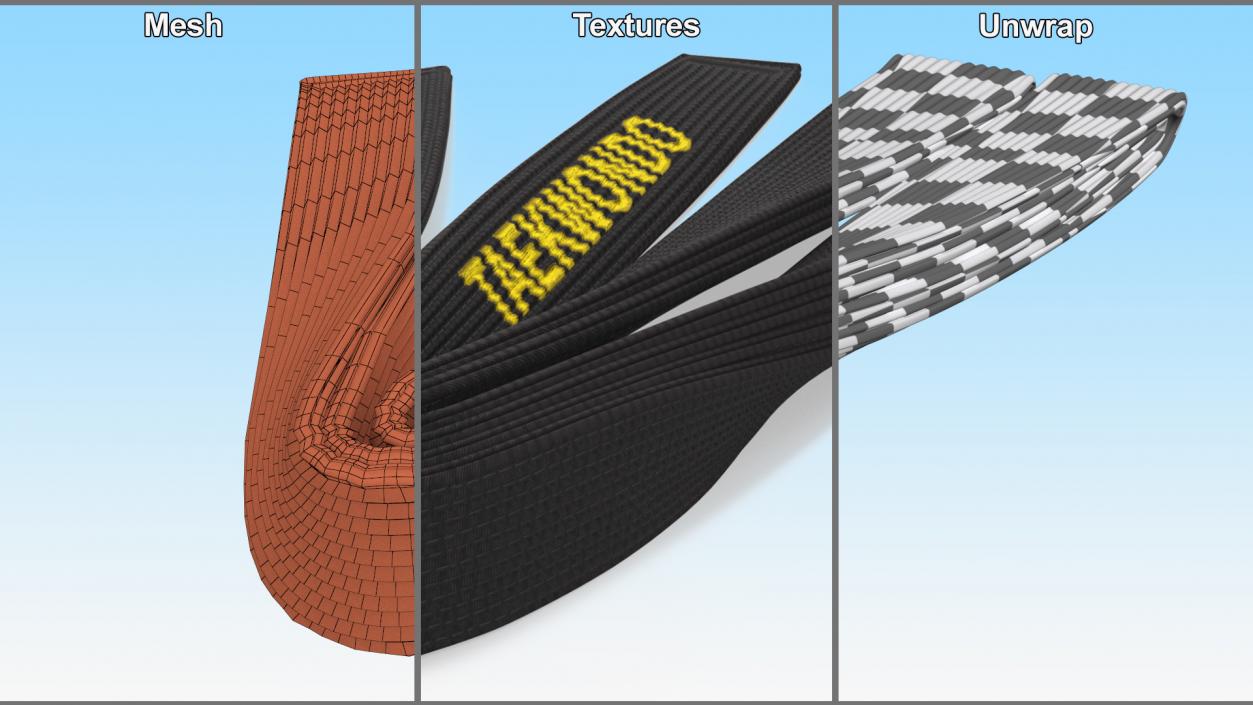 Taekwondo Black Obi Belt 3D model