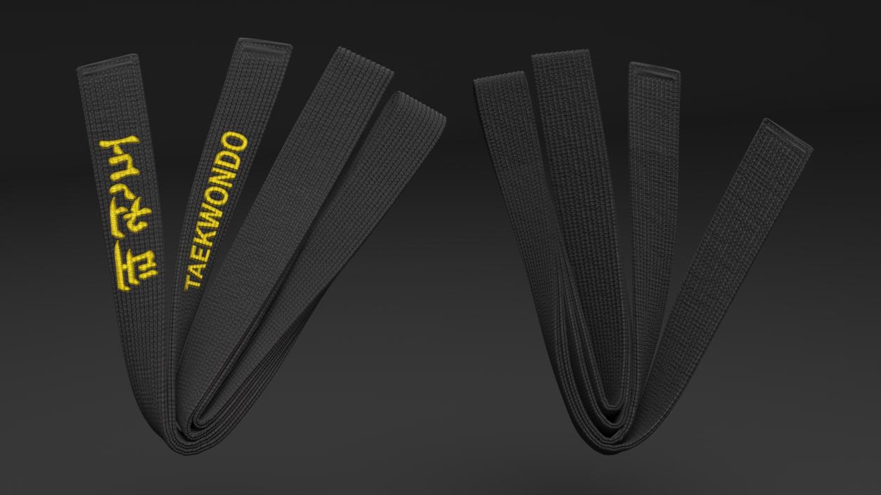 Taekwondo Black Obi Belt 3D model