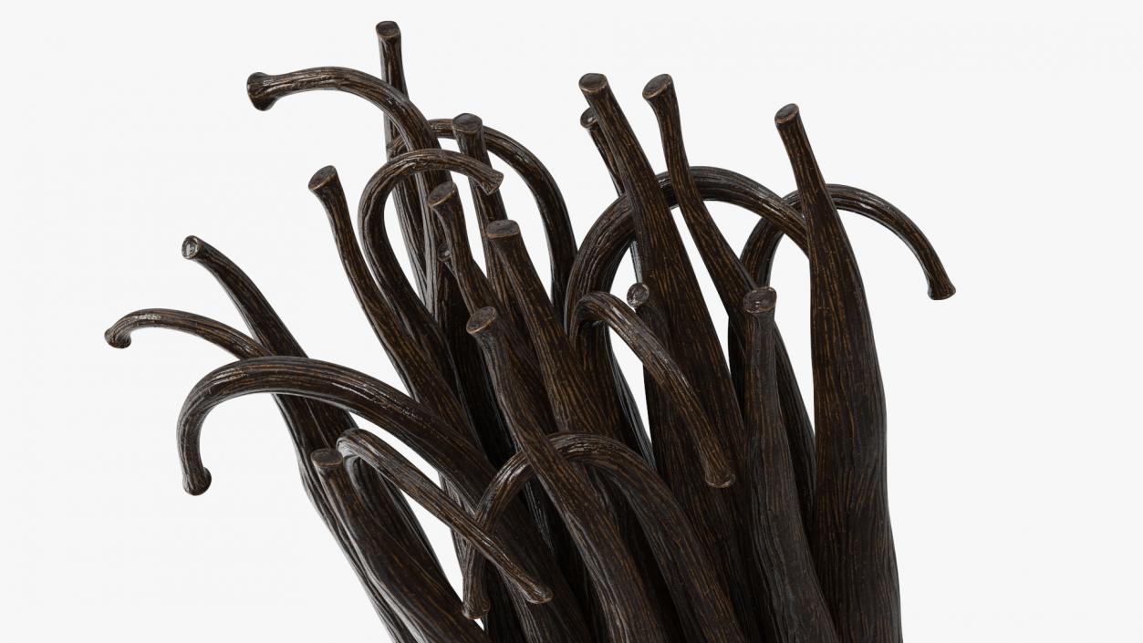 3D model Vanilla Sticks Bunch