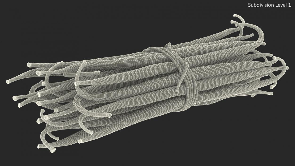 3D model Vanilla Sticks Bunch