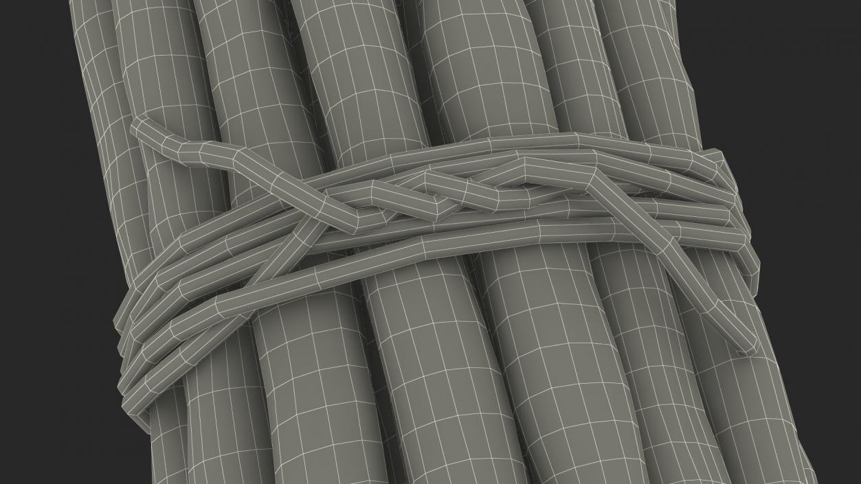 3D model Vanilla Sticks Bunch